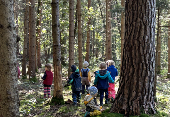 Kinder im Wald