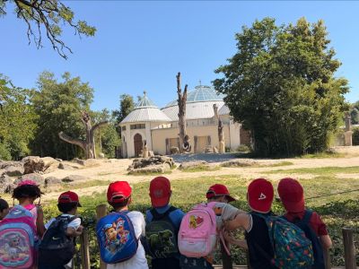 Kinderhaus Hand in Hand: Vorschulausflug in den Tierpark Hellabrunn
