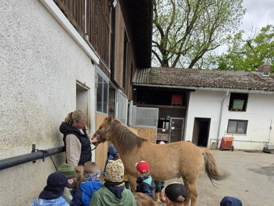 Wurzelzwerge: Ausflüge, tierische Begegnungen und ein besonderer Besuch im Wald